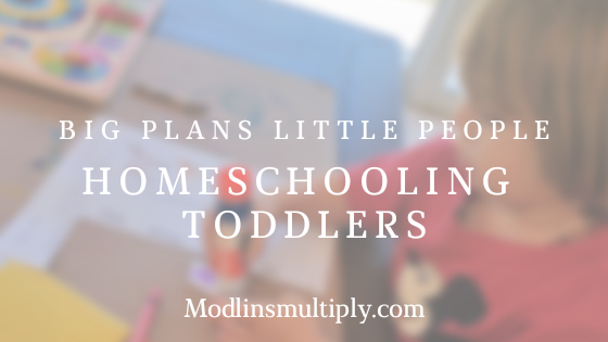 Big Plans Little People – Homeschooling Toddlers